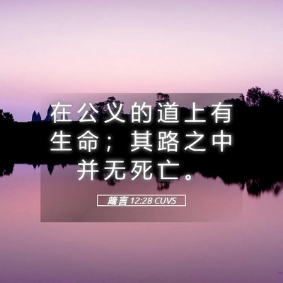 Picture 05 - 箴 言 12:28 CUVS - 在 公 义 的 道 上 有 生 命 ； 其 路 - Bible Verse Picture