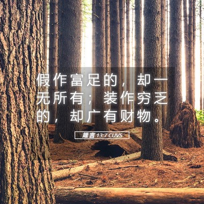 Picture 05 - 箴 言 13:7 CUVS - 假 作 富 足 的 ， 却 一 无 所 有 ； - Bible Verse Picture