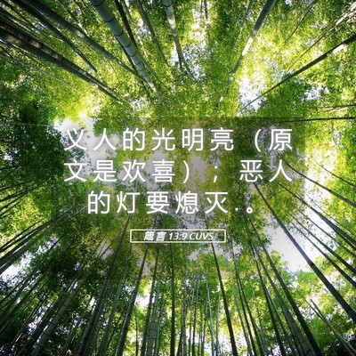 Picture 05 - 箴 言 13:9 CUVS - 义 人 的 光 明 亮 （ 原 文 是 欢 喜 - Bible Verse Picture