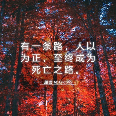 Picture 05 - 箴 言 14:12 CUVS - 有 一 条 路 ， 人 以 为 正 ， 至 终 - Bible Verse Picture