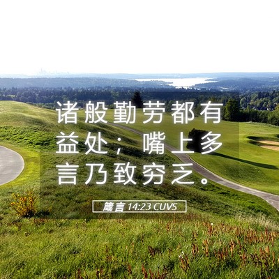 Picture 05 - 箴 言 14:23 CUVS - 诸 般 勤 劳 都 有 益 处 ； 嘴 上 多 - Bible Verse Picture