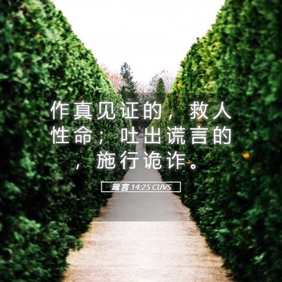 Picture 05 - 箴 言 14:25 CUVS - 作 真 见 证 的 ， 救 人 性 命 ； 吐 - Bible Verse Picture