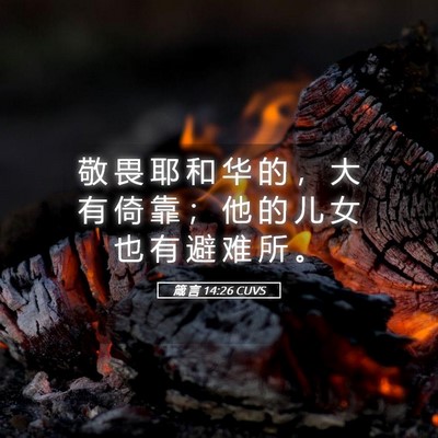 Picture 05 - 箴 言 14:26 CUVS - 敬 畏 耶 和 华 的 ， 大 有 倚 靠 ； - Bible Verse Picture