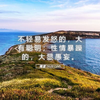 Picture 05 - 箴 言 14:29 CUVS - 不 轻 易 发 怒 的 ， 大 有 聪 明 ； - Bible Verse Picture