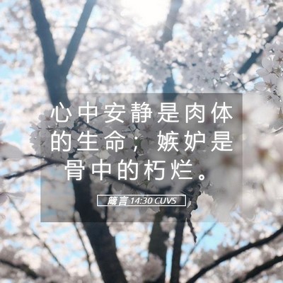 Picture 05 - 箴 言 14:30 CUVS - 心 中 安 静 是 肉 体 的 生 命 ； 嫉 - Bible Verse Picture