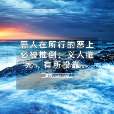 Picture 05 - 箴 言 14:32 CUVS - 恶 人 在 所 行 的 恶 上 必 被 推 倒 - Bible Verse Picture