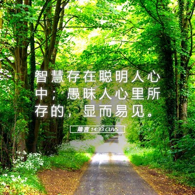 Picture 05 - 箴 言 14:33 CUVS - 智 慧 存 在 聪 明 人 心 中 ； 愚 昧 - Bible Verse Picture