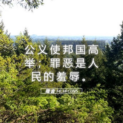 Picture 05 - 箴 言 14:34 CUVS - 公 义 使 邦 国 高 举 ； 罪 恶 是 人 - Bible Verse Picture