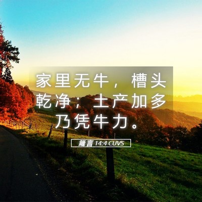 Picture 05 - 箴 言 14:4 CUVS - 家 里 无 牛 ， 槽 头 乾 净 ； 土 产 - Bible Verse Picture