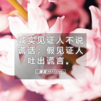 Picture 05 - 箴 言 14:5 CUVS - 诚 实 见 证 人 不 说 谎 话 ； 假 见 - Bible Verse Picture