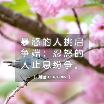 Picture 05 - 箴 言 15:18 CUVS - 暴 怒 的 人 挑 启 争 端 ； 忍 怒 的 - Bible Verse Picture