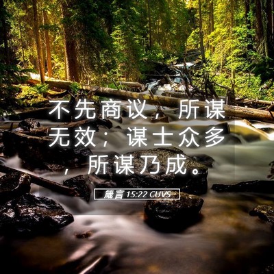 Picture 05 - 箴 言 15:22 CUVS - 不 先 商 议 ， 所 谋 无 效 ； 谋 士 - Bible Verse Picture