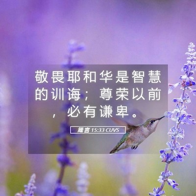 Picture 05 - 箴 言 15:33 CUVS - 敬 畏 耶 和 华 是 智 慧 的 训 诲 ； - Bible Verse Picture