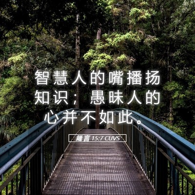 Picture 05 - 箴 言 15:7 CUVS - 智 慧 人 的 嘴 播 扬 知 识 ； 愚 昧 - Bible Verse Picture