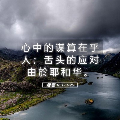 Picture 05 - 箴 言 16:1 CUVS - 心 中 的 谋 算 在 乎 人 ； 舌 头 的 - Bible Verse Picture