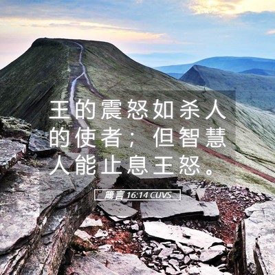 Picture 05 - 箴 言 16:14 CUVS - 王 的 震 怒 如 杀 人 的 使 者 ； 但 - Bible Verse Picture