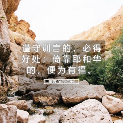 Picture 05 - 箴 言 16:20 CUVS - 谨 守 训 言 的 ， 必 得 好 处 ； 倚 - Bible Verse Picture