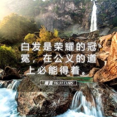Picture 05 - 箴 言 16:31 CUVS - 白 发 是 荣 耀 的 冠 冕 ， 在 公 义 - Bible Verse Picture