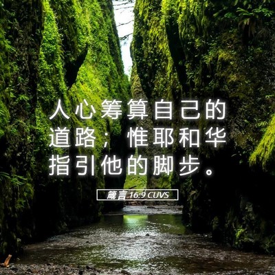 Picture 05 - 箴 言 16:9 CUVS - 人 心 筹 算 自 己 的 道 路 ； 惟 耶 - Bible Verse Picture