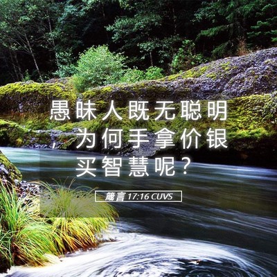 Picture 05 - 箴 言 17:16 CUVS - 愚 昧 人 既 无 聪 明 ， 为 何 手 拿 - Bible Verse Picture