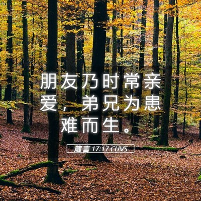 Picture 05 - 箴 言 17:17 CUVS - 朋 友 乃 时 常 亲 爱 ， 弟 兄 为 患 - Bible Verse Picture