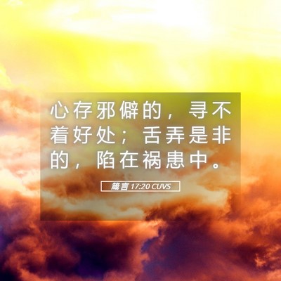 Picture 05 - 箴 言 17:20 CUVS - 心 存 邪 僻 的 ， 寻 不 着 好 处 ； - Bible Verse Picture