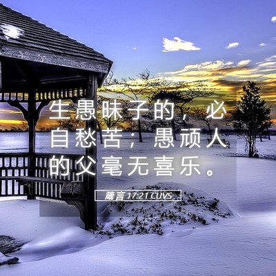 Picture 05 - 箴 言 17:21 CUVS - 生 愚 昧 子 的 ， 必 自 愁 苦 ； 愚 - Bible Verse Picture