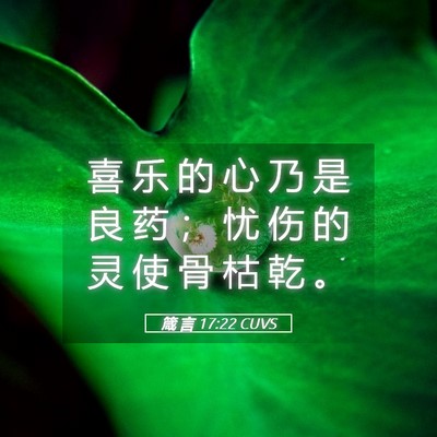 Picture 05 - 箴 言 17:22 CUVS - 喜 乐 的 心 乃 是 良 药 ； 忧 伤 的 - Bible Verse Picture