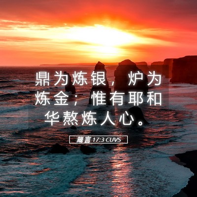 Picture 05 - 箴 言 17:3 CUVS - 鼎 为 炼 银 ， 炉 为 炼 金 ； 惟 有 - Bible Verse Picture