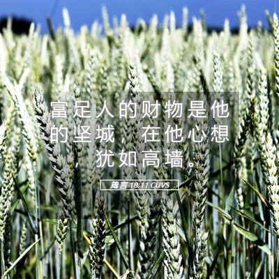 Picture 05 - 箴 言 18:11 CUVS - 富 足 人 的 财 物 是 他 的 坚 城 ， - Bible Verse Picture