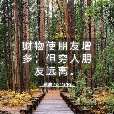 Picture 05 - 箴 言 19:4 CUVS - 财 物 使 朋 友 增 多 ； 但 穷 人 朋 - Bible Verse Picture