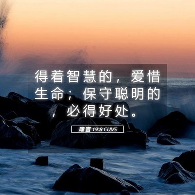 Picture 05 - 箴 言 19:8 CUVS - 得 着 智 慧 的 ， 爱 惜 生 命 ； 保 - Bible Verse Picture