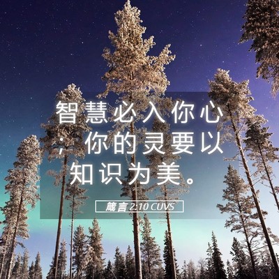Picture 05 - 箴 言 2:10 CUVS - 智 慧 必 入 你 心 ； 你 的 灵 要 以 - Bible Verse Picture