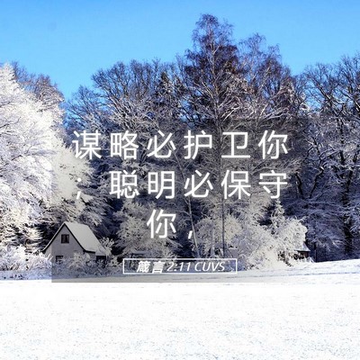 Picture 05 - 箴 言 2:11 CUVS - 谋 略 必 护 卫 你 ； 聪 明 必 保 守 - Bible Verse Picture