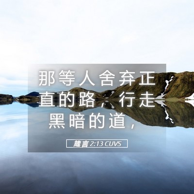 Picture 05 - 箴 言 2:13 CUVS - 那 等 人 舍 弃 正 直 的 路 ， 行 走 - Bible Verse Picture