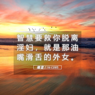 Picture 05 - 箴 言 2:16 CUVS - 智 慧 要 救 你 脱 离 淫 妇 ， 就 是 - Bible Verse Picture