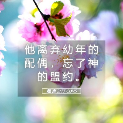 Picture 05 - 箴 言 2:17 CUVS - 他 离 弃 幼 年 的 配 偶 ， 忘 了 神 - Bible Verse Picture