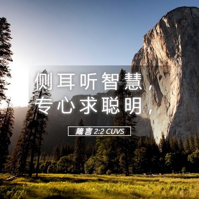 Picture 05 - 箴 言 2:2 CUVS - 侧 耳 听 智 慧 ， 专 心 求 聪 明 - Bible Verse Picture