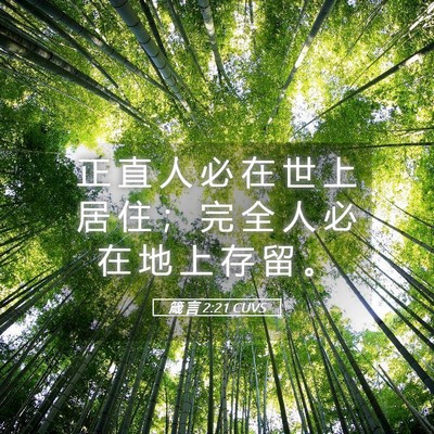 Picture 05 - 箴 言 2:21 CUVS - 正 直 人 必 在 世 上 居 住 ； 完 全 - Bible Verse Picture