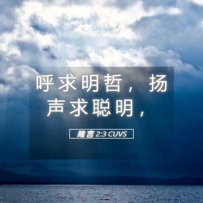 Picture 05 - 箴 言 2:3 CUVS - 呼 求 明 哲 ， 扬 声 求 聪 明 - Bible Verse Picture