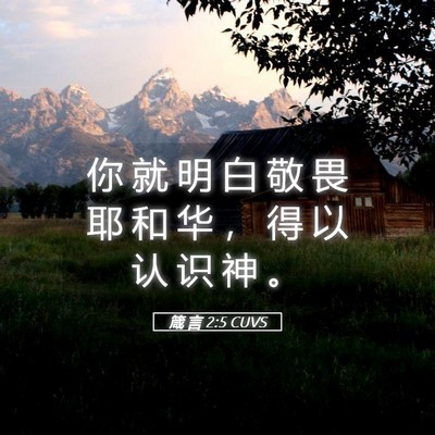 Picture 05 - 箴 言 2:5 CUVS - 你 就 明 白 敬 畏 耶 和 华 ， 得 以 - Bible Verse Picture