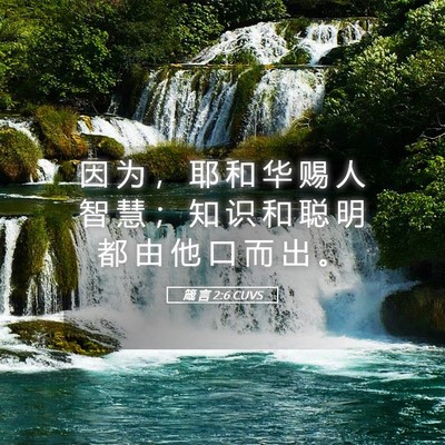 Picture 05 - 箴 言 2:6 CUVS - 因 为 ， 耶 和 华 赐 人 智 慧 ； 知 - Bible Verse Picture