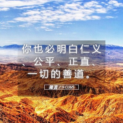 Picture 05 - 箴 言 2:9 CUVS - 你 也 必 明 白 仁 义 、 公 平 、 正 - Bible Verse Picture