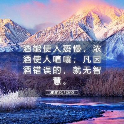Picture 05 - 箴 言 20:1 CUVS - 酒 能 使 人 亵 慢 ， 浓 酒 使 人 喧 - Bible Verse Picture