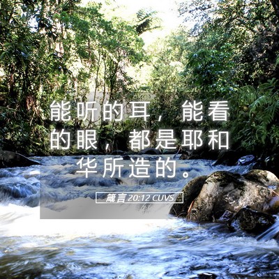 Picture 05 - 箴 言 20:12 CUVS - 能 听 的 耳 ， 能 看 的 眼 ， 都 是 - Bible Verse Picture