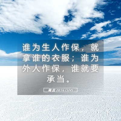 Picture 05 - 箴 言 20:16 CUVS - 谁 为 生 人 作 保 ， 就 拿 谁 的 衣 - Bible Verse Picture