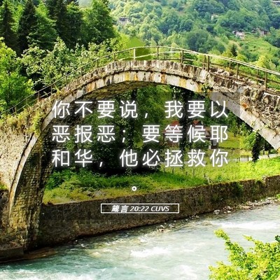 Picture 05 - 箴 言 20:22 CUVS - 你 不 要 说 ， 我 要 以 恶 报 恶 ； - Bible Verse Picture