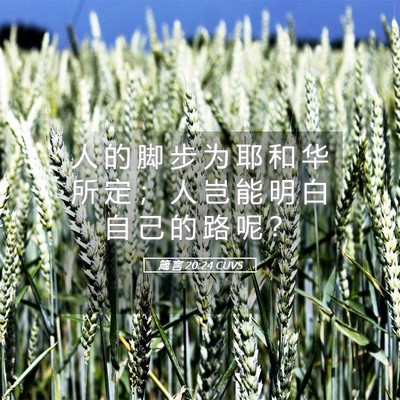 Picture 05 - 箴 言 20:24 CUVS - 人 的 脚 步 为 耶 和 华 所 定 ； 人 - Bible Verse Picture