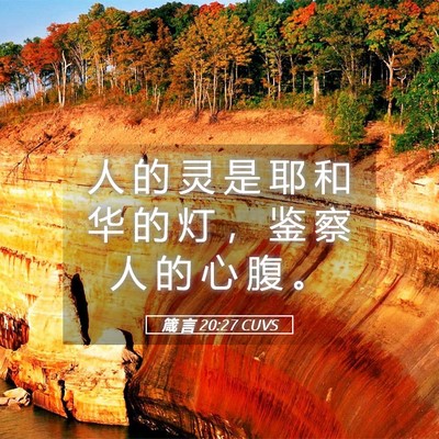 Picture 05 - 箴 言 20:27 CUVS - 人 的 灵 是 耶 和 华 的 灯 ， 鉴 察 - Bible Verse Picture