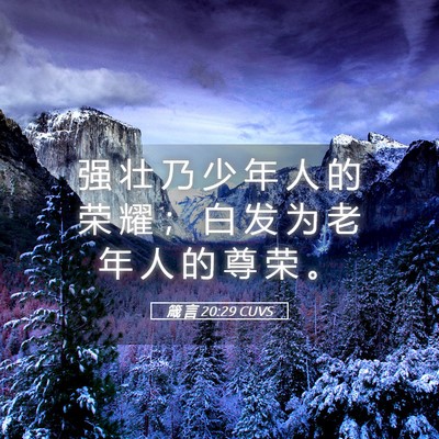 Picture 05 - 箴 言 20:29 CUVS - 强 壮 乃 少 年 人 的 荣 耀 ； 白 发 - Bible Verse Picture